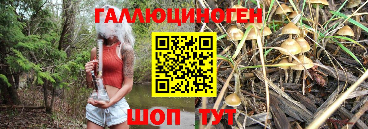 Галлюциногенные грибы GOLDEN TEACHER Волгодонск