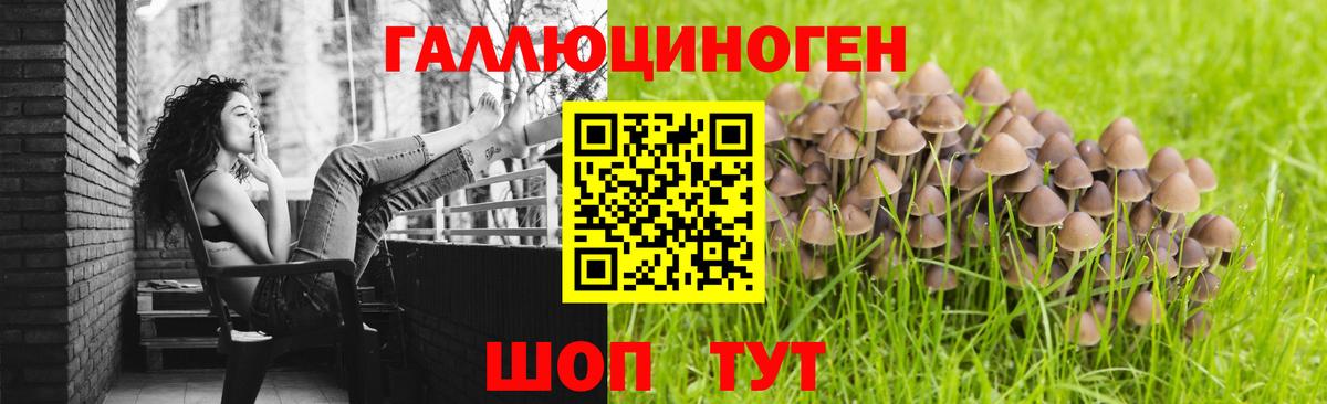 Галлюциногенные грибы Psilocybine cubensis  Вход с VPN  Волгодонск 